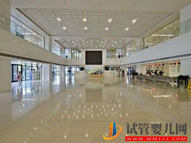 濰坊960試管總共可以免費三次嗎？(圖1)