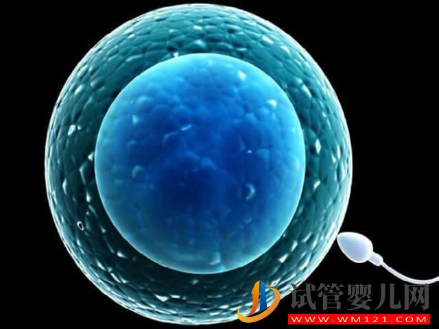 長治和平醫院試管移植一次就著床的成功率有多少？(圖2)