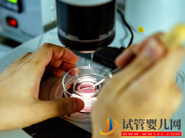 在太原正規醫院做一次試管供卵大概要多少錢？(圖2)