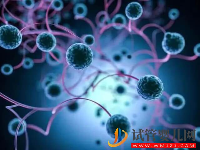 在山西做一次試管嬰兒的費(fèi)用大約多少?(圖2) 在山西做一次試管嬰兒的費(fèi)用大約多少?(圖2)