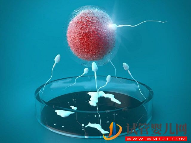 百色試管嬰兒一次就的成功的概率高嗎？(圖2)