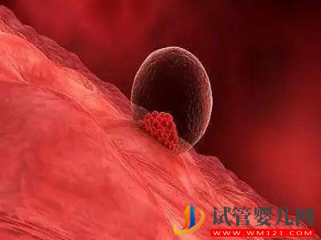 南寧青秀區有做三代試管的醫院嗎？(圖2)