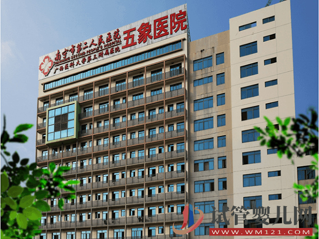 南寧二醫(yī)院生殖中心有提供供卵技術(shù)嗎？(圖1)