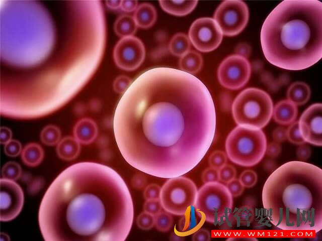 南寧生殖醫(yī)院做試管促排卵大概要多少錢？(圖1)