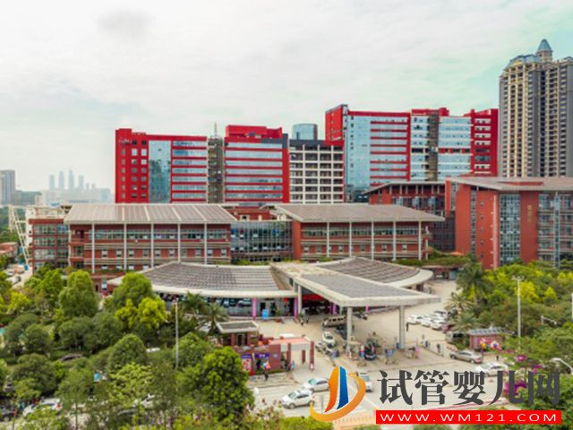 廣西哪家公立三甲醫院能做試管三代？(圖1)