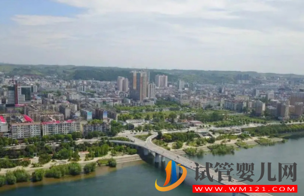 湖北十堰助孕機構排名，附2家試管醫院成功率參考(圖1)