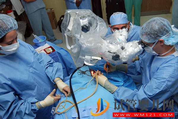 二次移植人工周期流程全在這，需要多久時間看完明白(圖1)