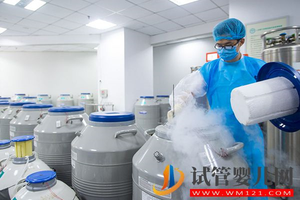 做試管嬰兒用醫院精子費用在這個數，附供精費用明細(圖1)