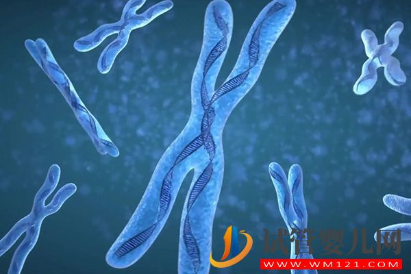 試管9周多胎停有3大原因，胚胎發(fā)育異常概率大是其一(圖2)