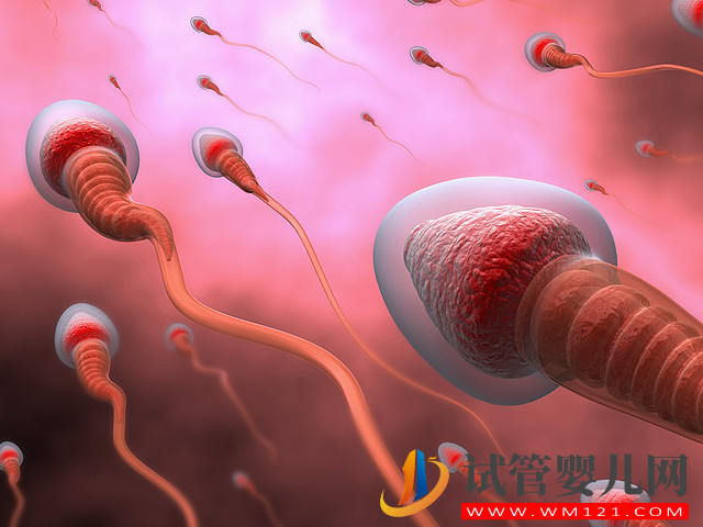 同房后判斷精子進入輸卵管的方法,沒生育需求做好緊急避孕(圖2) 同房后判斷精子進入輸卵管的方法,沒生育需求做好緊急避孕(圖2)