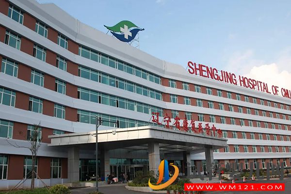 東北三省試管嬰兒好醫院推薦,2022排名第一非這家莫屬(圖3) 東北三省試管嬰兒好醫院推薦,排名第一非這家莫屬(圖3)