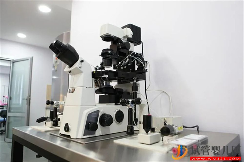 家庭圓夢的又一福地-格魯吉亞(圖6) 家庭圓夢的又一福地-格魯吉亞(圖6)