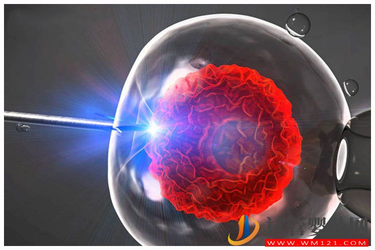 試管嬰兒期間卵泡小怎么辦,卵泡小怎么進(jìn)行促排卵 試管嬰兒期間卵泡小怎么辦,卵泡小怎么進(jìn)行促排卵(圖1)