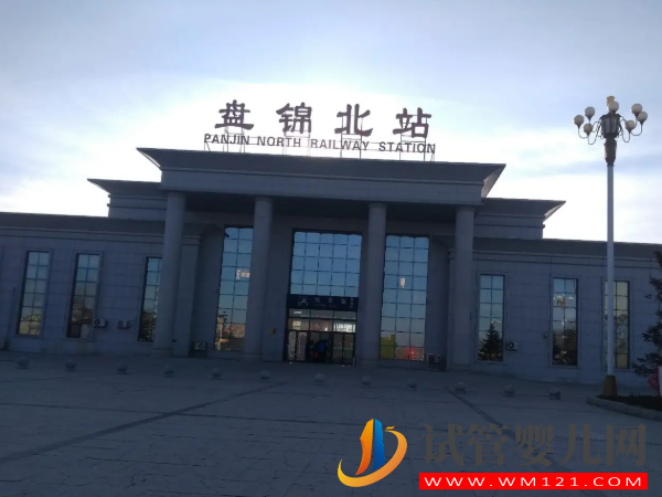 盤錦供卵機構(gòu)排名，當(dāng)?shù)責(zé)衢T試管嬰兒醫(yī)院大全(圖1)