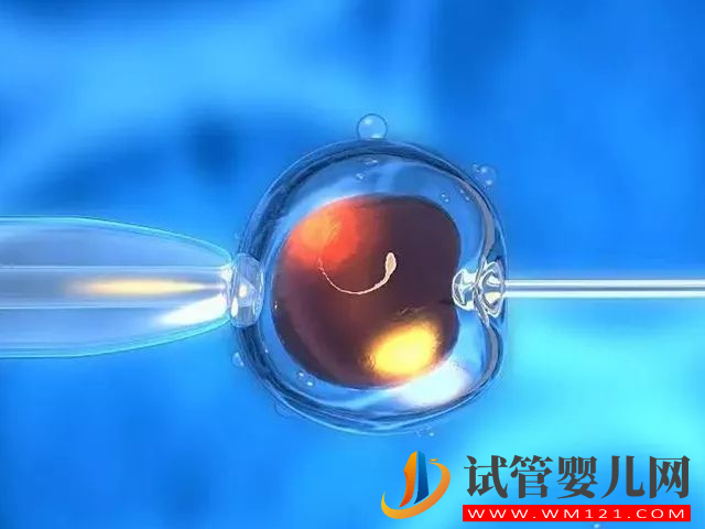 去大連的三甲醫(yī)院做試管嬰兒需要多少錢?(圖3) 去大連的三甲醫(yī)院做試管嬰兒需要多少錢?(圖3)