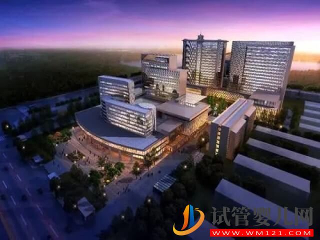 大連哪個醫院有包試管成功的服務？(圖1)