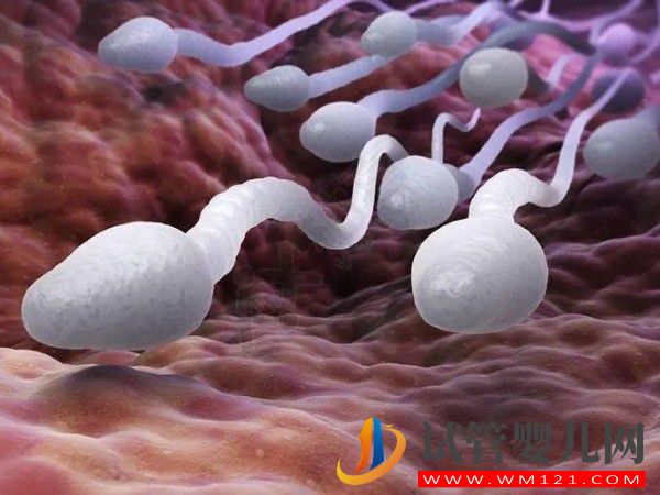 大連婦幼保健院能做供精試管嬰兒了嗎?(圖1) 大連婦幼保健院能做供精試管嬰兒了嗎?(圖1)