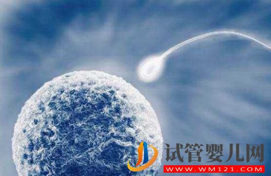 泰國試管嬰兒成功率是多少？包成功靠譜嗎(圖1)