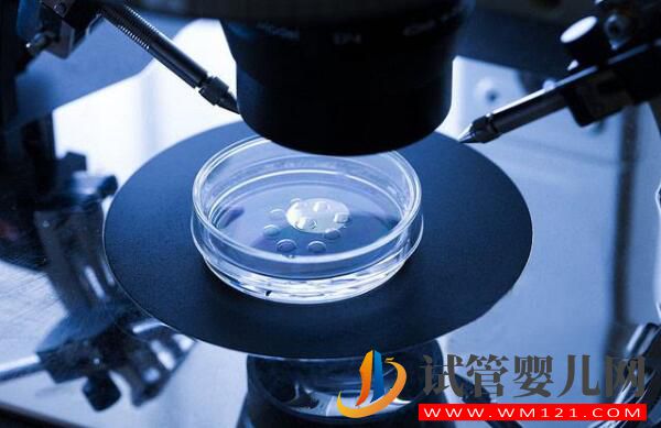 試管嬰兒養(yǎng)囊胚是什么樣的?什么樣的囊胚質(zhì)量好?(圖1) 試管嬰兒養(yǎng)囊胚是什么樣的?什么樣的囊胚質(zhì)量好?(圖1)