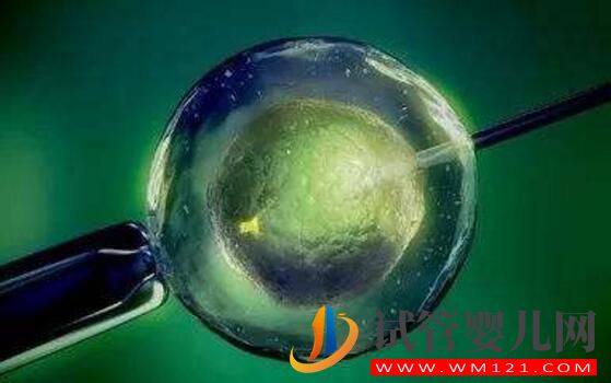 試管嬰兒養(yǎng)囊胚是什么樣的?什么樣的囊胚質(zhì)量好?(圖4) 試管嬰兒養(yǎng)囊胚是什么樣的?什么樣的囊胚質(zhì)量好?(圖4)