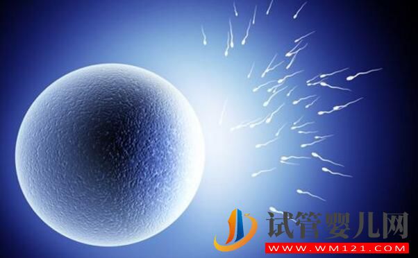 無(wú)精癥可以做試管嬰兒?jiǎn)幔繉?duì)無(wú)精癥的誤解有哪些(圖1) 無(wú)精癥可以做試管嬰兒?jiǎn)幔繉?duì)無(wú)精癥的誤解有哪些(圖1)