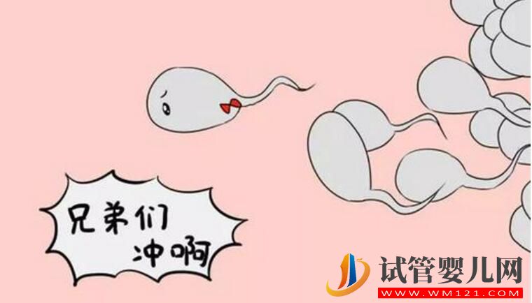 精子活力低做試管的成功率有是多少 如何有效提升成功率?(圖1) 精子活力低做試管的成功率有是多少 如何有效提升成功率?(圖1)