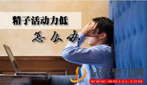 精子活力低做試管的成功率有是多少 如何有效提升成功率?(圖2) 精子活力低做試管的成功率有是多少 如何有效提升成功率?(圖2)