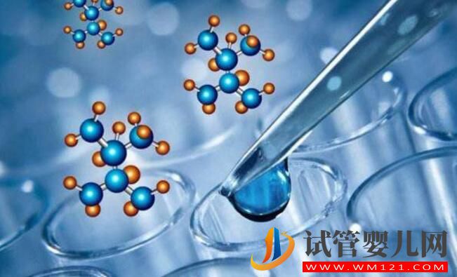 精子活力低做試管的成功率有是多少 如何有效提升成功率?(圖3) 精子活力低做試管的成功率有是多少 如何有效提升成功率?(圖3)