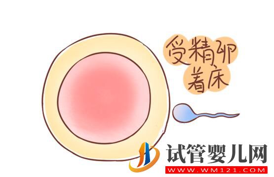 受精卵著床失敗會排出分泌物嗎？失敗的原因有哪些(圖1)