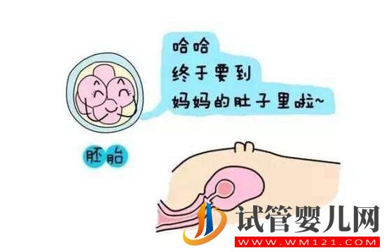 胚胎移植后幾天會著床?有什么反應(yīng)(圖1) 都勻胚胎移植后幾天會著床?有什么反應(yīng)(圖1)