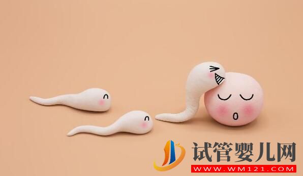 胚胎移植后幾天會著床?有什么反應(yīng)(圖2) 都勻胚胎移植后幾天會著床?有什么反應(yīng)(圖2)