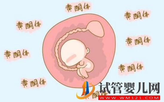 孕酮低就代表著需要保胎嗎?孕酮、HCG與保胎的關(guān)系你了解嗎?(圖2) 孕酮低就代表著需要保胎嗎?孕酮、HCG與保胎的關(guān)系你了解嗎?(圖2)