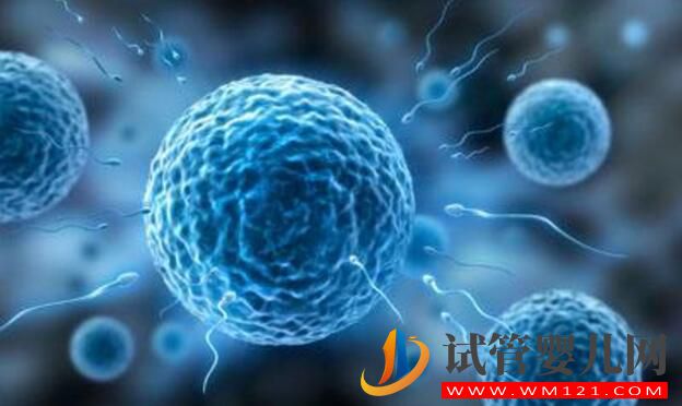 試管嬰兒（IVF）沒做好 可能會帶來哪些風險(圖4)