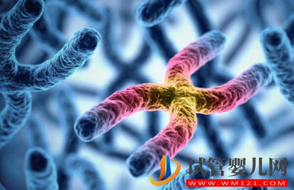 做試管嬰兒一定要降調(diào)嗎?是如何降調(diào)成功的?(圖1) 做試管嬰兒一定要降調(diào)嗎?是如何降調(diào)成功的?(圖1)