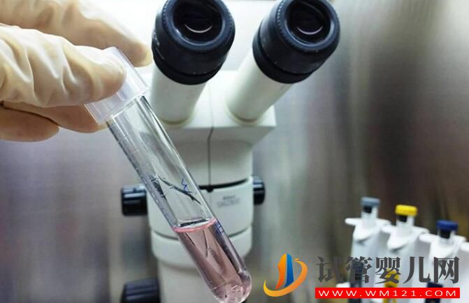 做試管嬰兒一定要降調(diào)嗎?是如何降調(diào)成功的?(圖3) 做試管嬰兒一定要降調(diào)嗎?是如何降調(diào)成功的?(圖3)