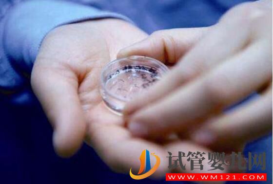 做試管嬰兒一定要降調(diào)嗎?是如何降調(diào)成功的?(圖4) 做試管嬰兒一定要降調(diào)嗎?是如何降調(diào)成功的?(圖4)