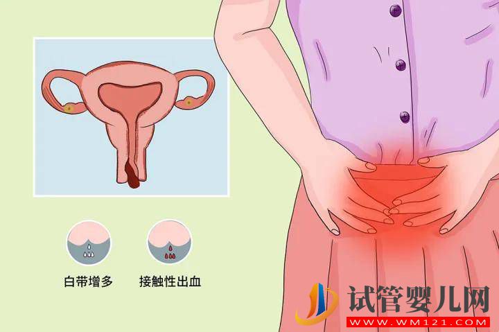 雌激素高是否適合做試管寶寶嗎(圖1)