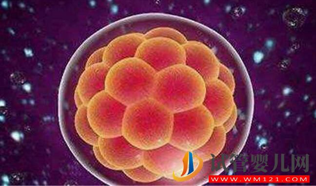 淄博試管嬰兒胚胎移植前、后都有哪些注意事項和常見的問題(圖3)