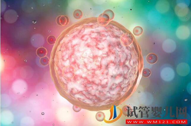 做試管嬰兒痛苦嗎？到底痛不痛來看看吧(圖1)