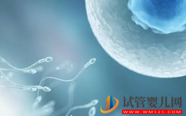 試管嬰兒檢查報告有效期是多長?各項檢查都一樣嗎(圖2) 試管嬰兒檢查報告有效期是多長?各項檢查都一樣嗎(圖2)