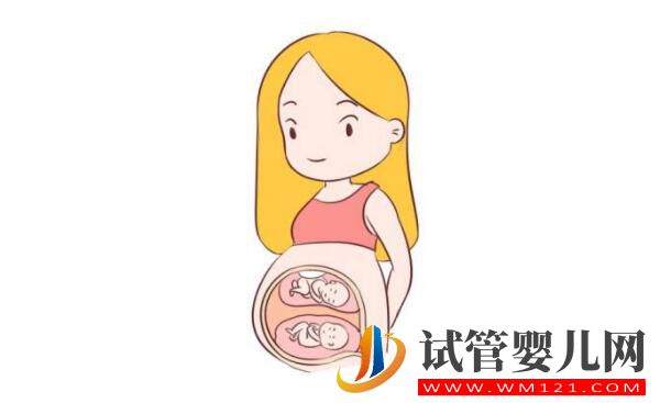 試管嬰兒雙胞胎的幾率有多大,費(fèi)用一樣嗎?(圖2) 試管嬰兒雙胞胎的幾率有多大,費(fèi)用一樣嗎?(圖2)