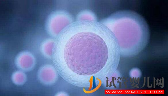 試管嬰兒一代比一代強嗎？如何選擇(圖2)