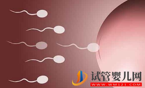 試管嬰兒手術費用 影響試管嬰兒費用的因素有哪些(圖2)