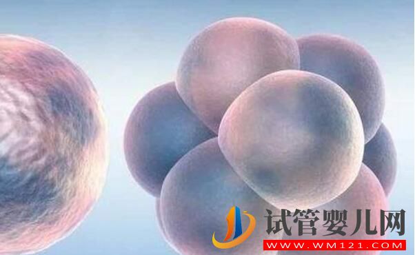 試管嬰兒手術費用 影響試管嬰兒費用的因素有哪些(圖3)