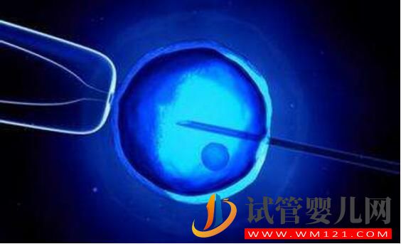 試管嬰兒要在體外培育多長時間？時間越長越好嗎？(圖2)