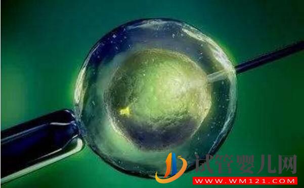 試管嬰兒要在體外培育多長時間？時間越長越好嗎？(圖3)