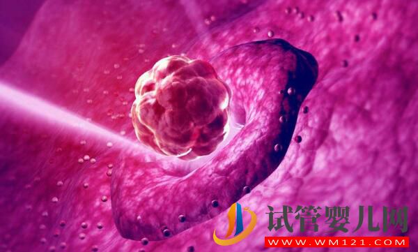 試管嬰兒移植成功后要如何保胎?記住這幾個技巧讓你輕松度過危險期(圖1) 試管嬰兒移植成功后要如何保胎?記住這幾個技巧讓你輕松度過危險期(圖1)