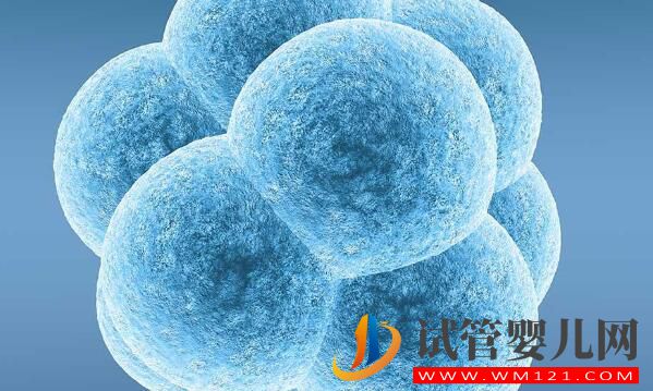 試管嬰兒移植成功后要如何保胎?記住這幾個技巧讓你輕松度過危險期(圖2) 試管嬰兒移植成功后要如何保胎?記住這幾個技巧讓你輕松度過危險期(圖2)