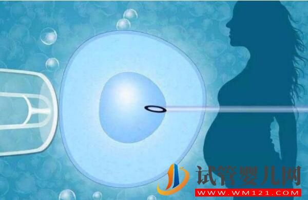 試管嬰兒成功率詳細介紹，高卵子利用率提高成功率(圖1)