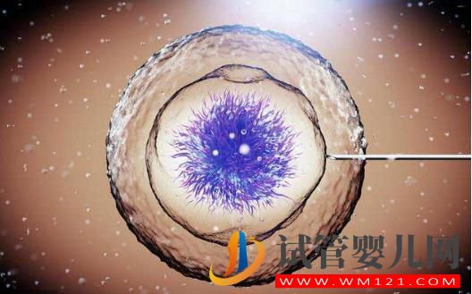 試管嬰兒成功率詳細介紹，高卵子利用率提高成功率(圖2)